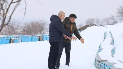 Kar yağışı arıcıya umut oldu: Koloni kayıpları minimuma indi