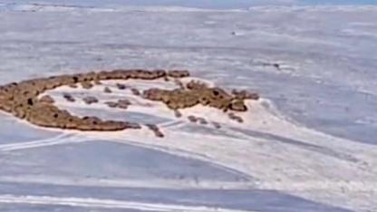 Karda ay yıldızlı vatan sevgisi