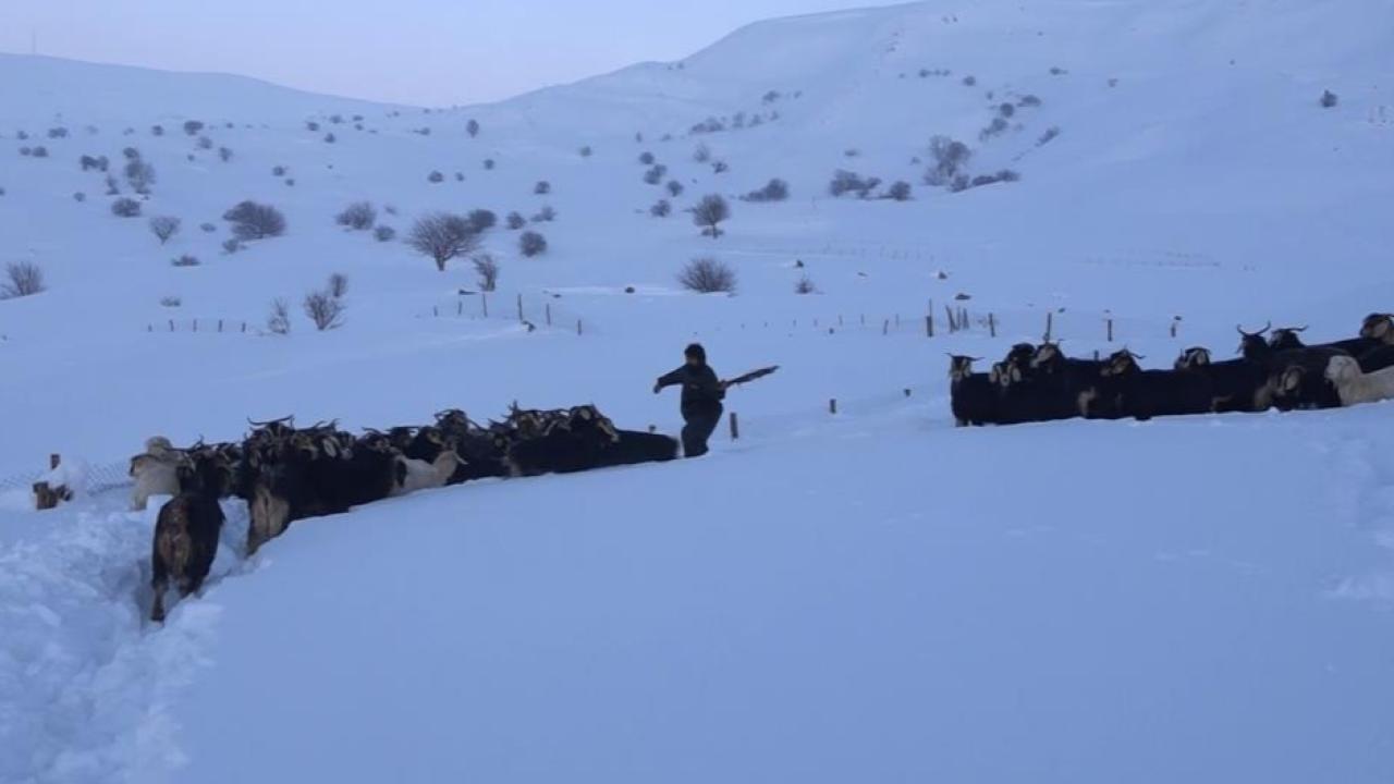 Karla kaplı mezrada mahsur kalan besici kurtarıldı