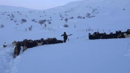 Karla kaplı mezrada mahsur kalan besici kurtarıldı