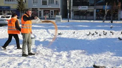 Kars Belediyesi kuşlar için yem bıraktı