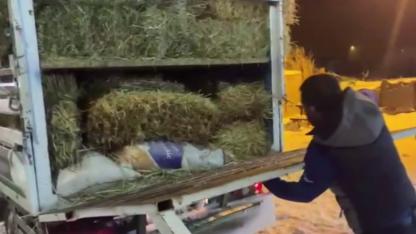 Kars'ta saman balyaları arasından düzensiz göçmen çıktı