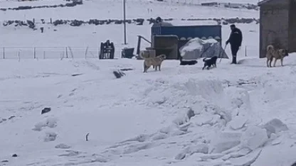 Kars’ın soğuğunda enerji mesaisi: Aras Edaş ekiplerinin soğukla imtihanı