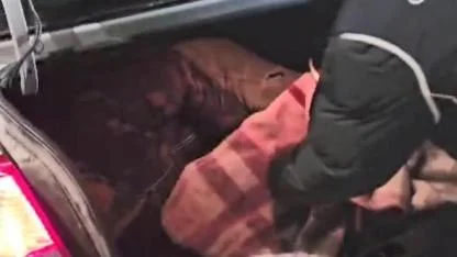 Kars’ta araç bagajında 2 düzensiz göçmen yakalandı