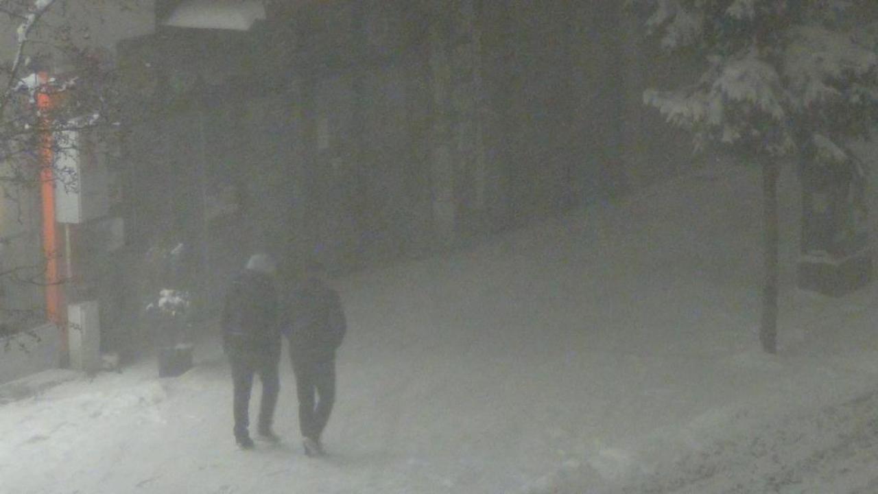 Kars’ta beyaz esaret: Tipiden göz gözü görmüyor