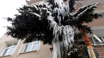 Kars'ta soğuk hava etkisini sürdürüyor