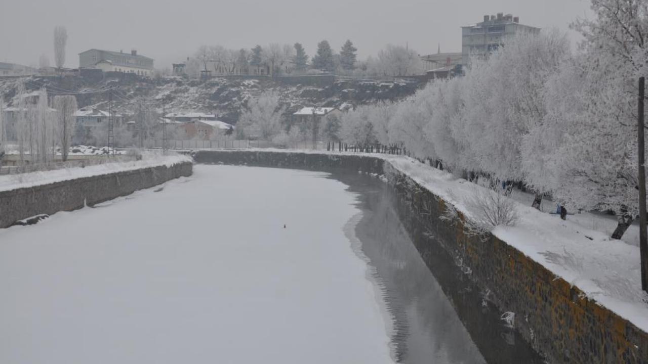 Kars’ta soğuktan ağaçlar kırağı tuttu