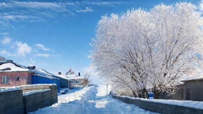 Kırağı tutan ağaçlar kartpostallık görüntüler oluşturdu