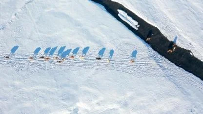 Menderesler bölgede hayvancılığa katkı sunuyor