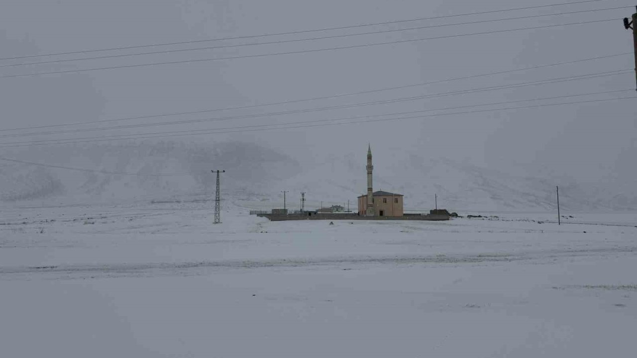 Pamuk Geçidi’nde kar ve sis ulaşımı olumsuz etkiledi