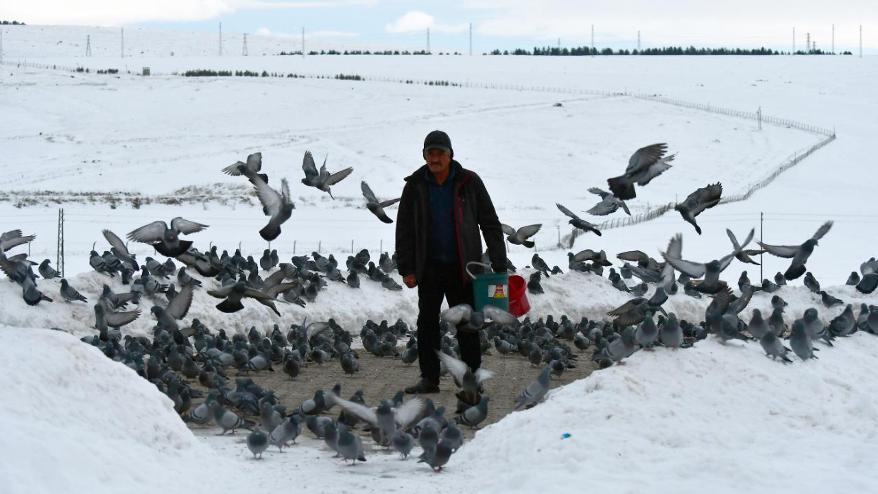 Sarıkamış'ta emekli işçi kuşlar için seferber oldu