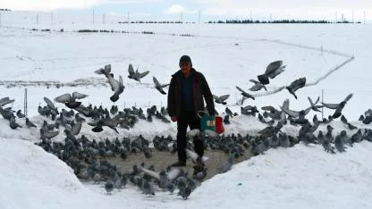 Sarıkamış'ta emekli işçi kuşlar için seferber oldu