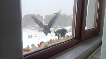 Soğuk kış günlerinde içleri ısıtan hareket