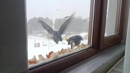 Soğuk kış günlerinde içleri ısıtan hareket