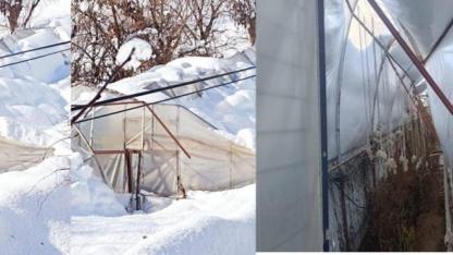 Yoğun kar yağışı nedeniyle seralar çöktü