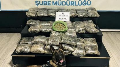 Yüksekova’da 30 kilo Skunk ele geçirildi
