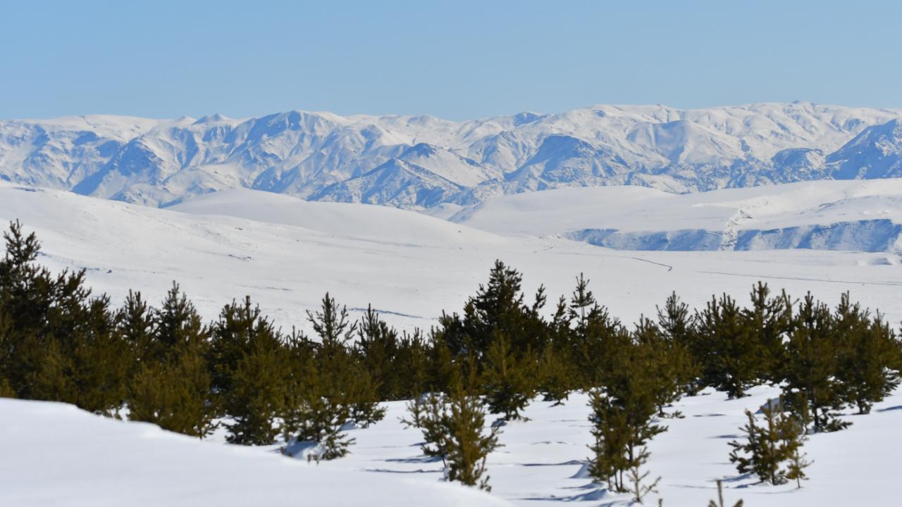 1 metrelik kar manzarası büyüledi