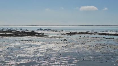 Ani ısınma gölde buz hareketini başlattı