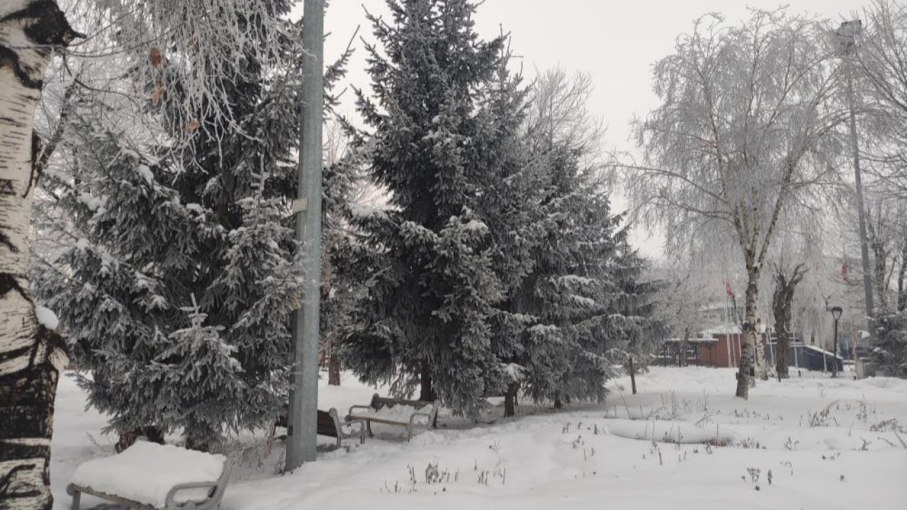 Ardahan’da dondurucu soğuk ağaçları kırağıyla kapladı