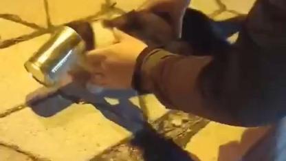 Başına konserve sıkışan kedi kurtarıldı