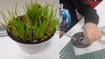 BİLSEM’de don riskine karşı toprak altı tarım prototipi geliştirildi