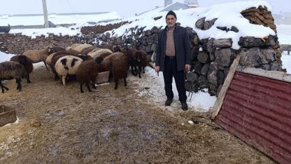 Dayanışma örneği Digor’da besicinin yüzünü güldürdü