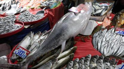 Dev Orkinos tezgahta ilgi odağı oldu