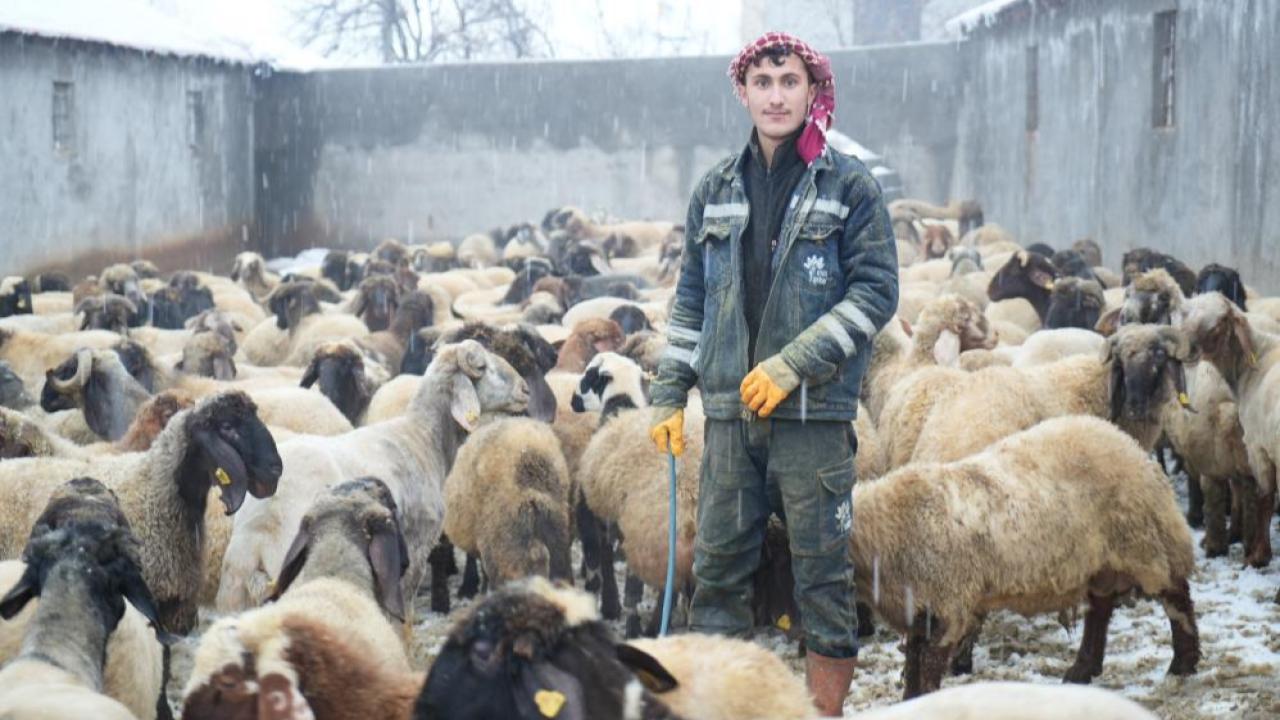 Devlet desteği üretimi büyüttü