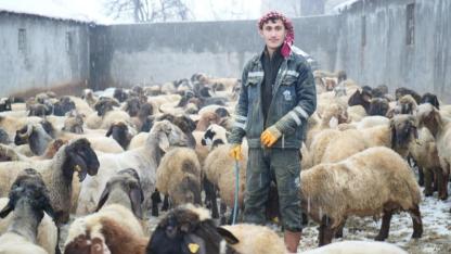 Devlet desteği üretimi büyüttü