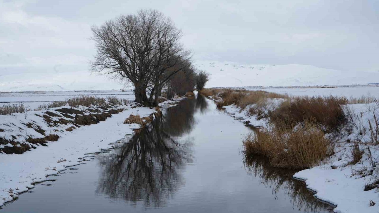 Erzurum’da kar yağışı etkili oluyor