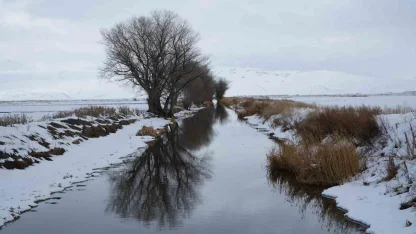 Erzurum’da kar yağışı etkili oluyor