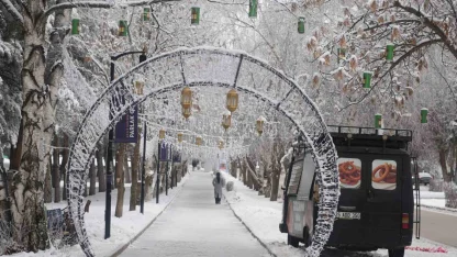 Kırağı tutan ağaçlar kartpostallık manzaralar oluşturdu