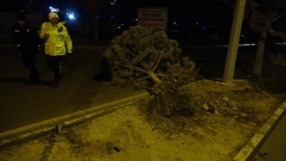 Geceyi kabusa çeviren fırtına ağaçları devirdi