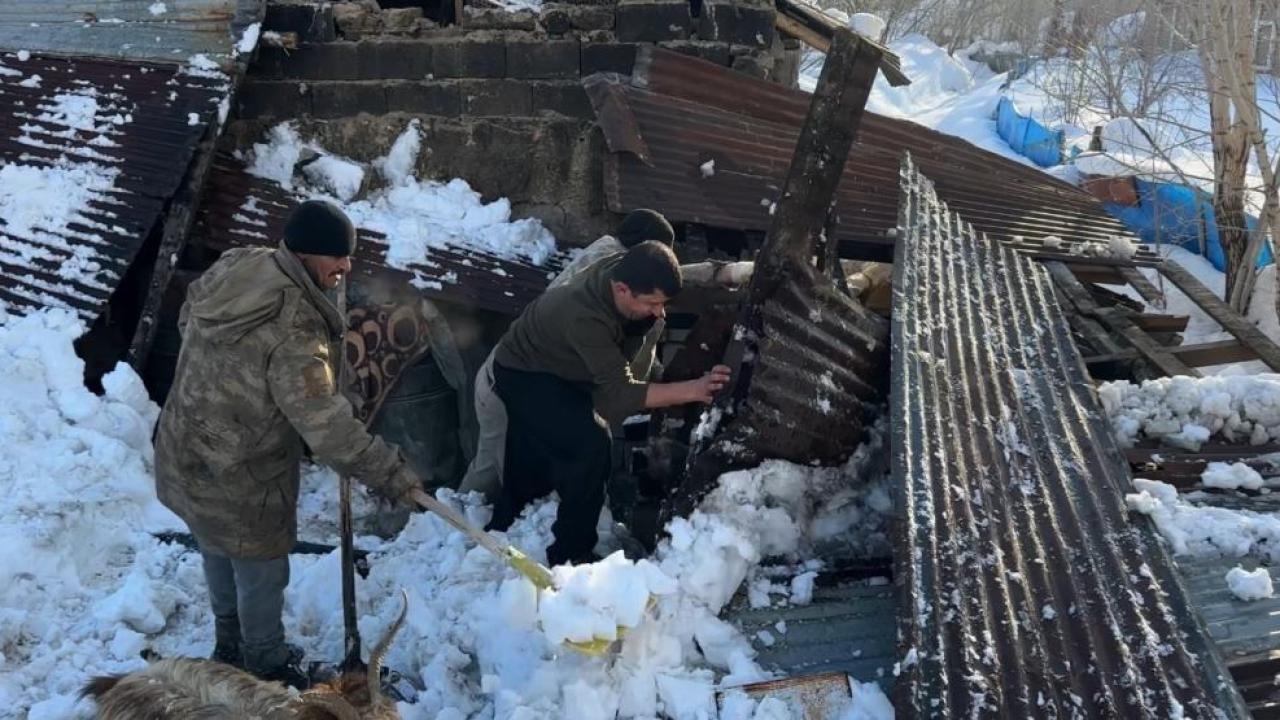 Hakkari’de ahırın çatısı çöktü: 2 hayvan telef oldu