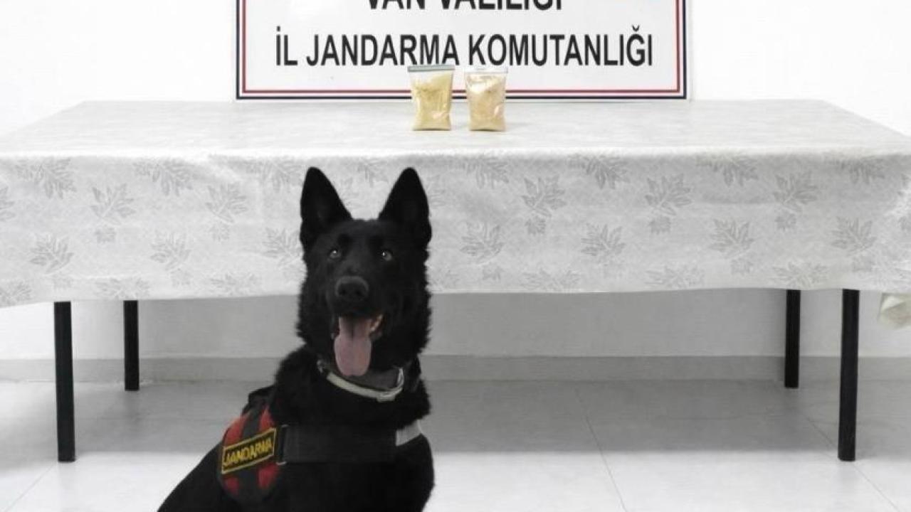 İran uyruklu şahıs üzerinde uyuşturucuyla yakalandı