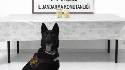 İran uyruklu şahıs üzerinde uyuşturucuyla yakalandı