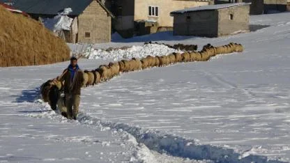 Kar ve soğuğa meydan okuyan besiciler