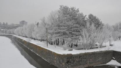 Kars’ta ağaçlar kırağıya büründü