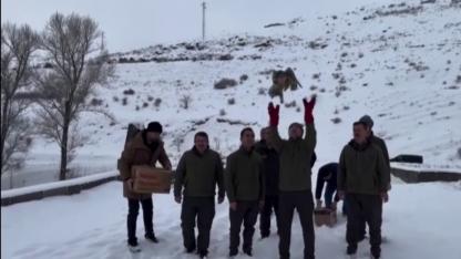 Kars'ta tedavileri tamamlanan 3 şahin doğaya salındı
