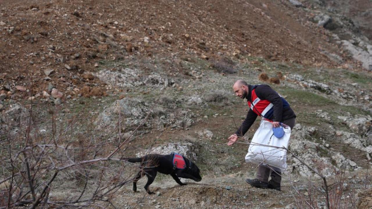 Kayıp yaşlı adam için seferberlik