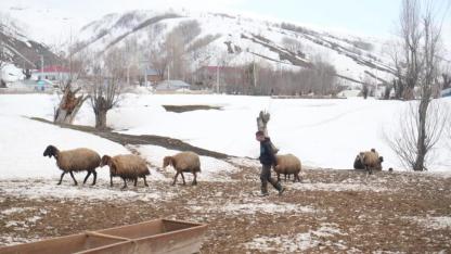Kırsalda zorlu kış, ovaya erken bahar