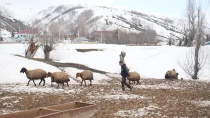 Kırsalda zorlu kış, ovaya erken bahar