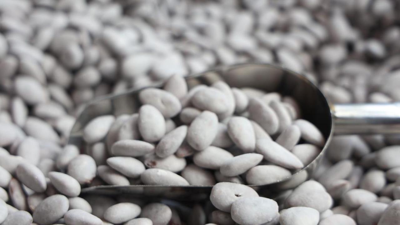 Ramazan’da “beyaz altın”a rekor talep