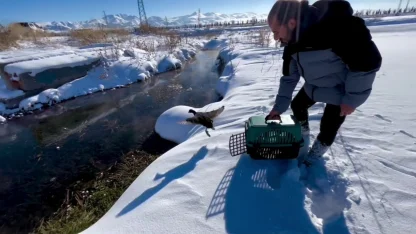 Soğuk hayata mola verdirdi