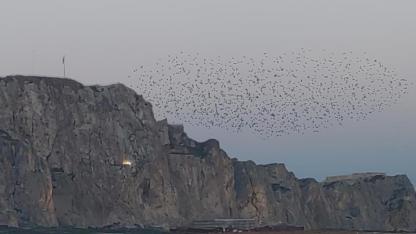 Tarihi kale üzerinde doğa şovu