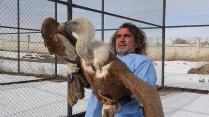 Tedavisi tamamlanan yırtıcı kuşlar doğaya dönüyor