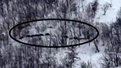 Vatandaşın domuz sürüsü şaşkınlığı "Ordu geliyor"