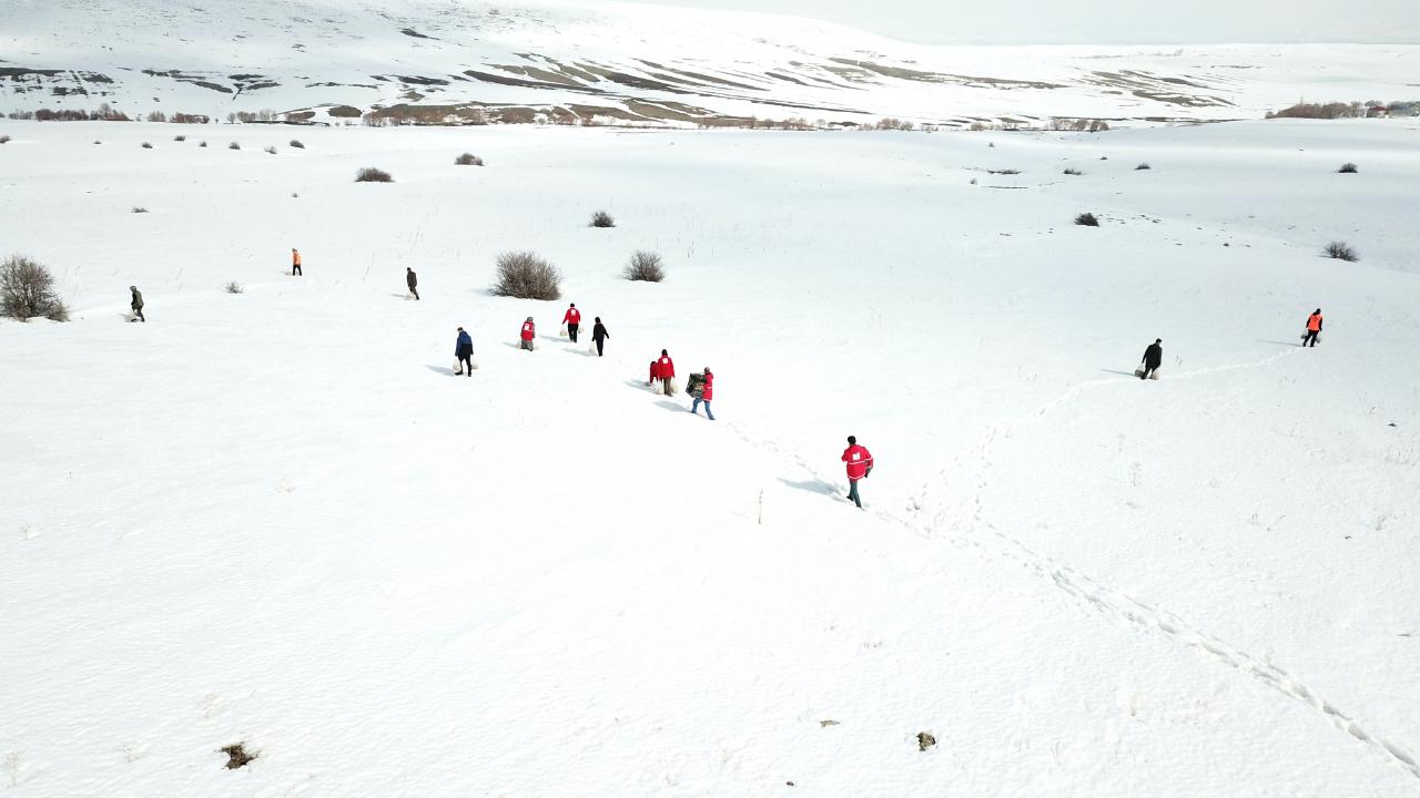 Yaban hayvanlarına yem desteği