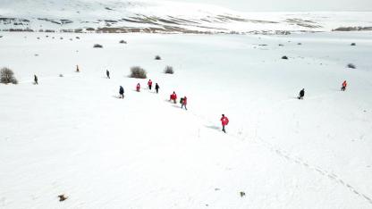 Yaban hayvanlarına yem desteği