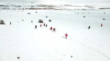 Yaban hayvanlarına yem desteği
